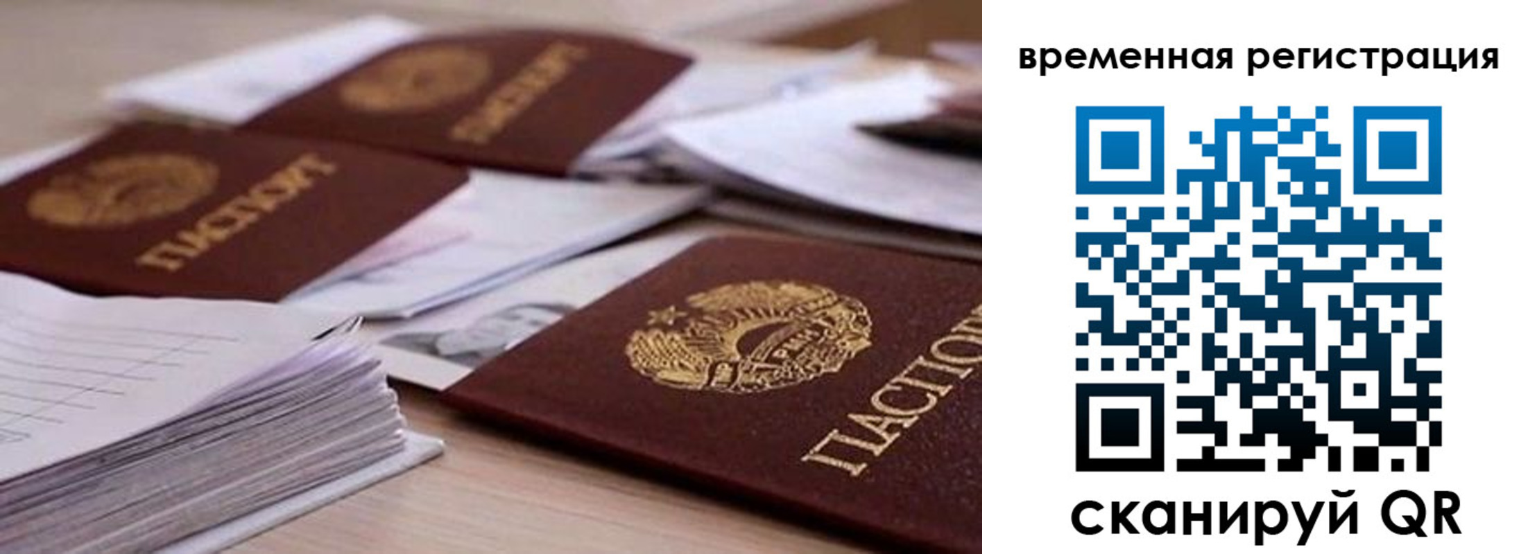 временная регистрация поиск в Заволжье